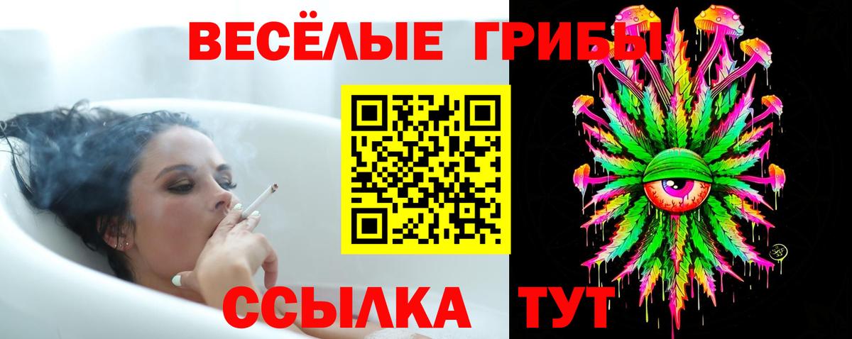 Щёлково  Галлюциногенные грибы Magic Shrooms  Вход с VPN  Псилоцибиновые грибы прущие грибы 